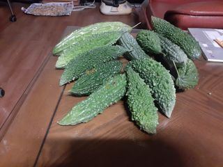 도토리아줌마님의 12월 내 작물 자랑하기 · 참여글 작성글 사진