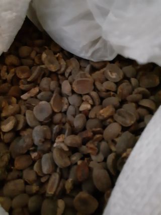 도토리아줌마님의 12월 내 작물 자랑하기 · 참여글 작성글 사진