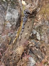 팜모닝 자유주제·자유게시판 게시글 이미지