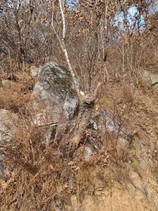 호랑이와인성이님의 자유주제 · 자유게시판 작성글 사진