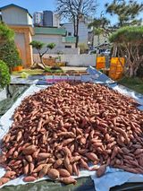 팜모닝 12월 내 작물 자랑하기·참여글 게시글 이미지