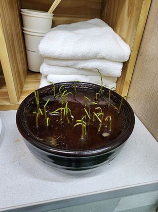 김명식 님의 12월 내 작물 자랑하기 · 참여글 작성글 사진