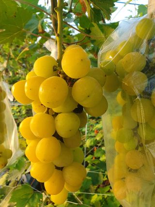 오대원님의 작성글 사진