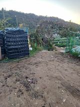 팜모닝 12월 내 작물 자랑하기·참여글 게시글 이미지