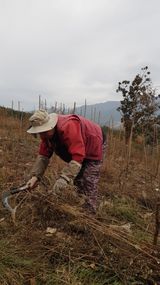 팜모닝 12월 내 작물 자랑하기·참여글 게시글 이미지