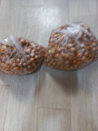 성낙신 님의 12월 내 작물 자랑하기 · 참여글 작성글 사진