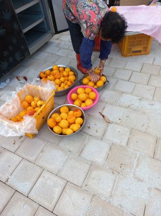 성낙신 님의 12월 내 작물 자랑하기 · 참여글 작성글 사진