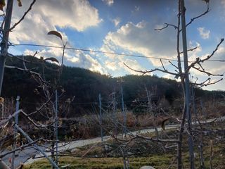 오임돈님의 우리동네 · 동네수다 작성글 사진