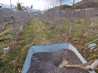 오임돈님의 우리동네 · 동네수다 작성글 사진