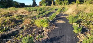 한재범님의 12월 내 작물 자랑하기 · 참여글 작성글 사진