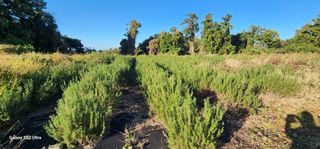 한재범님의 12월 내 작물 자랑하기 · 참여글 작성글 사진