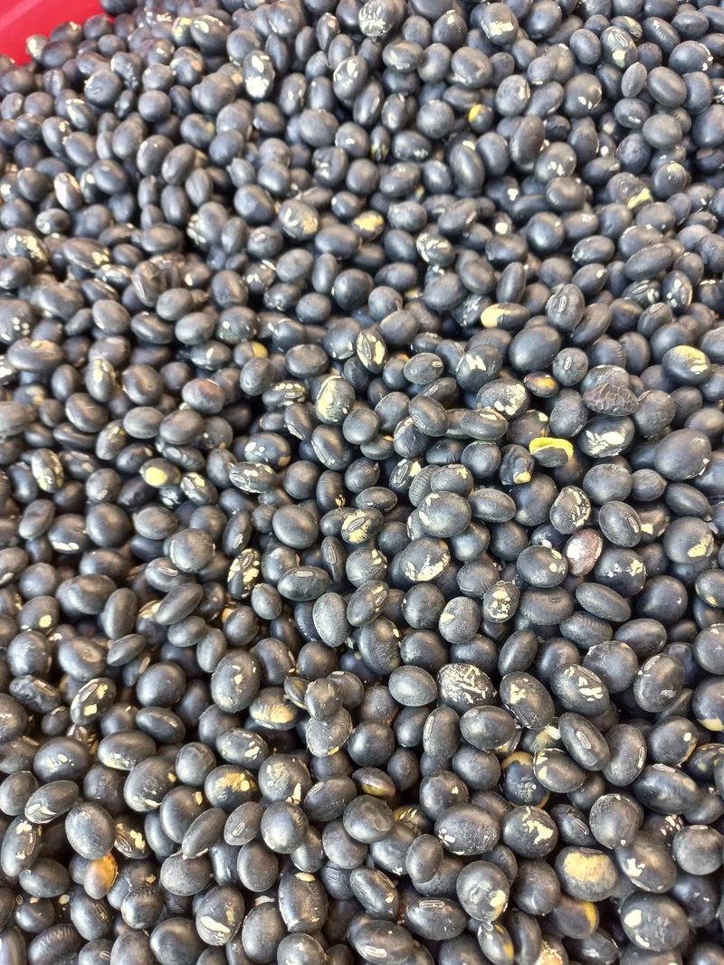 장터 상품 [귀족서리태 80kg] 썸네일