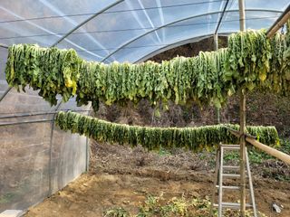 다소농원님의 12월 내 작물 자랑하기 · 참여글 작성글 사진