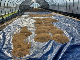 박영수부안님의 12월 내 작물 자랑하기 · 참여글 작성글 사진