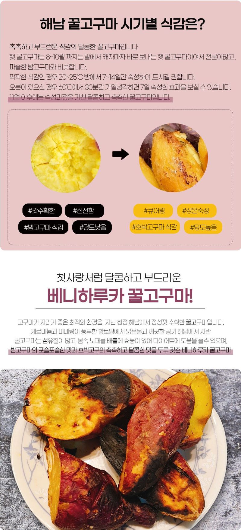 금호농장님의 장터 판매 상품 [금호농장 해남 친환경 무농약 세척 꿀고구마 베니하루카 3kg 5kg 10kg 판매합니다.] 첨부 사진