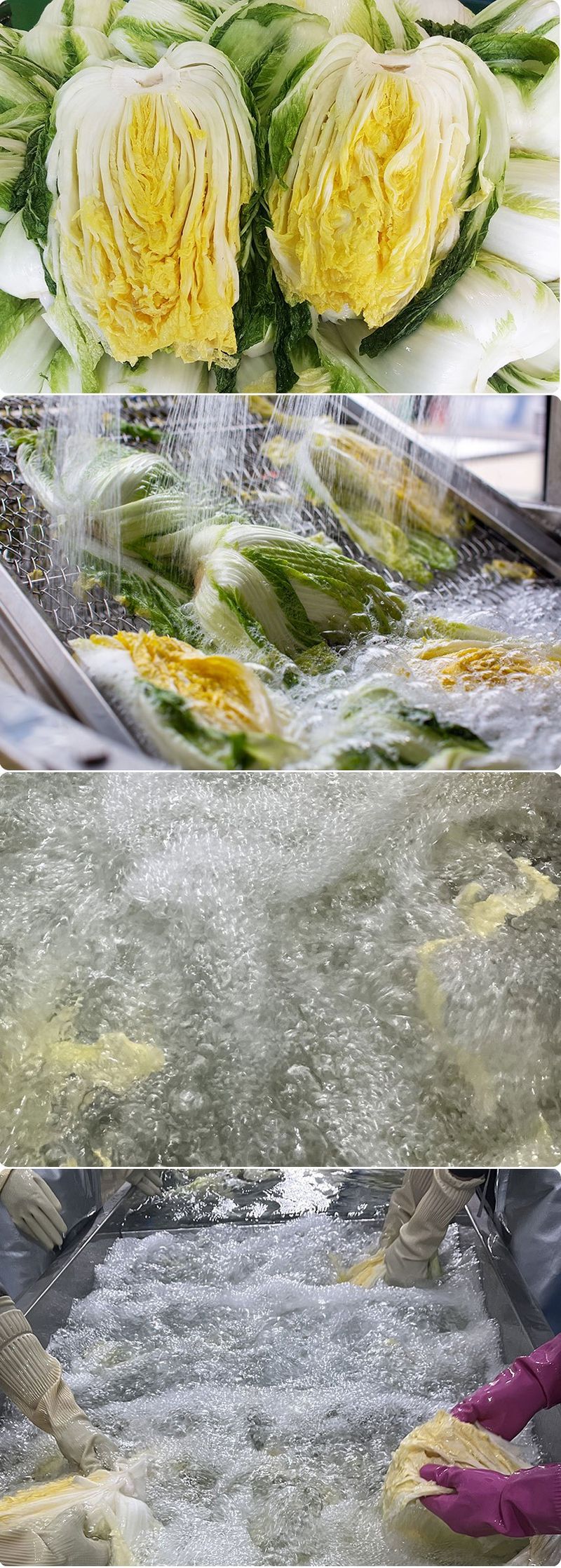 금호농장님의 장터 판매 상품 [해남 친환경 무농약 절임배추 90일 재배 24시간 신안 천일염 저염 절인배추 20kg] 첨부 사진