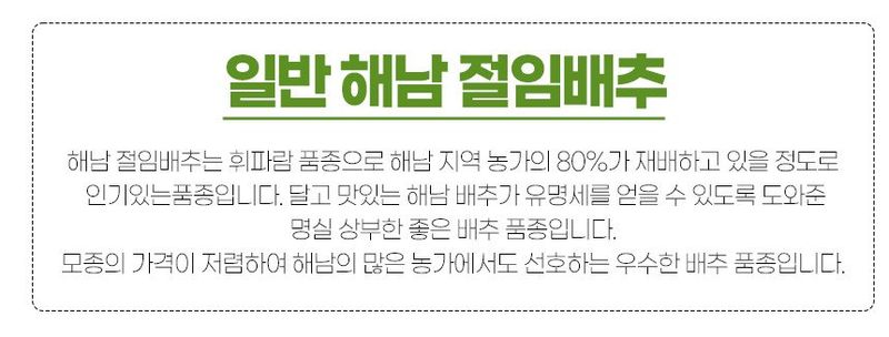 금호농장님의 장터 판매 상품 [해남 친환경 무농약 절임배추 90일 재배 24시간 신안 천일염 저염 절인배추 20kg] 첨부 사진