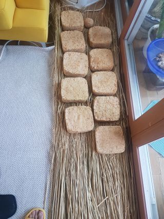 코알라님의 12월 내 작물 자랑하기 · 참여글 작성글 사진