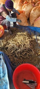 팜모닝 12월 내 작물 자랑하기·참여글 게시글 이미지