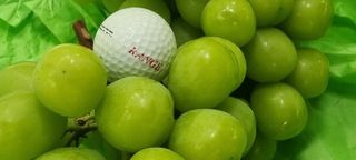 김은수님의 12월 내 작물 자랑하기 · 참여글 작성글 사진