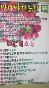 팜모닝 12월 내 작물 자랑하기·참여글 게시글 이미지