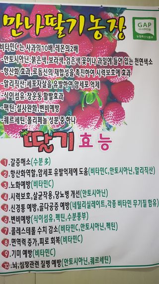 최재식 만나딸기농장님의 12월 내 작물 자랑하기 · 참여글 작성글 사진