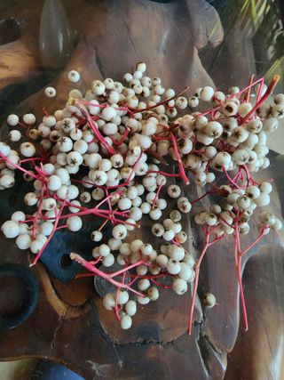 모든 보일러 설비님의 자유주제 · 자유게시판 작성글 사진