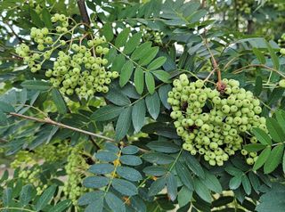 모든 보일러 설비님의 자유주제 · 자유게시판 작성글 사진