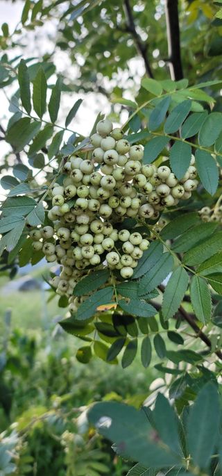 모든 보일러 설비님의 자유주제 · 자유게시판 작성글 사진