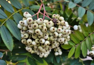 모든 보일러 설비님의 자유주제 · 자유게시판 작성글 사진