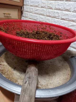 배추19087님의 12월 내 작물 자랑하기 · 참여글 작성글 사진