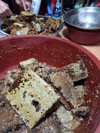 배추19087님의 12월 내 작물 자랑하기 · 참여글 작성글 사진