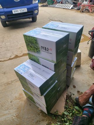 노지잔대재배7년차님의 12월 내 작물 자랑하기 · 참여글 작성글 사진