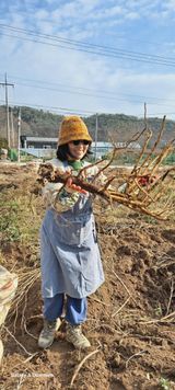 팜모닝 12월 내 작물 자랑하기·참여글 게시글 이미지