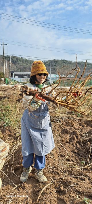 이명신님의 12월 내 작물 자랑하기 · 참여글 작성글 사진
