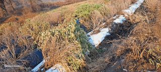 이명신님의 12월 내 작물 자랑하기 · 참여글 작성글 사진