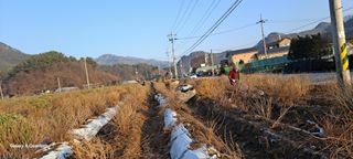 이명신님의 12월 내 작물 자랑하기 · 참여글 작성글 사진