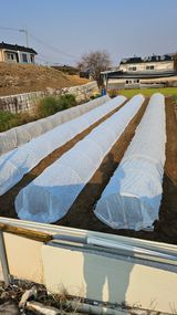 팜모닝 12월 내 작물 자랑하기·참여글 게시글 이미지