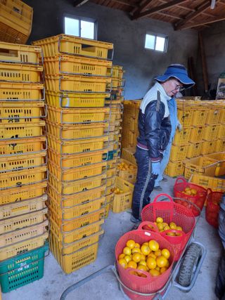 박종례님의 12월 내 작물 자랑하기 · 참여글 작성글 사진