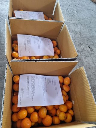 박종례님의 12월 내 작물 자랑하기 · 참여글 작성글 사진