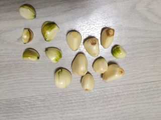 초보굴백이님의 마늘 · 일상 작성글 사진