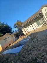 팜모닝 12월 내 작물 자랑하기·참여글 게시글 이미지