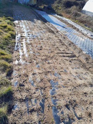 김영례님의 12월 내 작물 자랑하기 · 참여글 작성글 사진