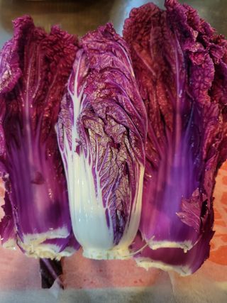 둥근마지기님의 12월 내 작물 자랑하기 · 참여글 작성글 사진