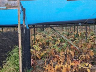 모두팜님의 12월 내 작물 자랑하기 · 참여글 작성글 사진