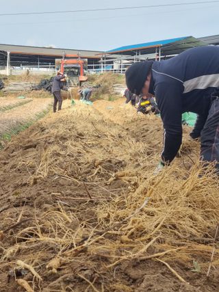 모두팜님의 12월 내 작물 자랑하기 · 참여글 작성글 사진