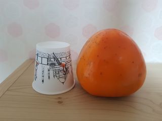 정수산님의 12월 내 작물 자랑하기 · 참여글 작성글 사진