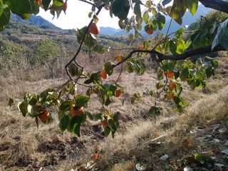 정수산님의 12월 내 작물 자랑하기 · 참여글 작성글 사진