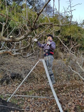 정수산님의 12월 내 작물 자랑하기 · 참여글 작성글 사진