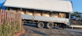 이복길님의 12월 내 작물 자랑하기 · 참여글 작성글 사진